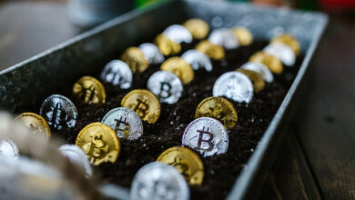 رمزگشایی کیف پول های ارز دیجیتال: راهنمای جامع برای ذخیره و ایمن سازی دارایی های دیجیتال شما