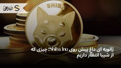 ژانویه ای داغ پیش روی Shiba Inu؛ چیزی که از شیبا انتظار داریم