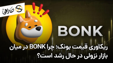 ریکاوری قیمت بونک؛ چرا BONK در میان بازار نزولی در حال رشد است؟