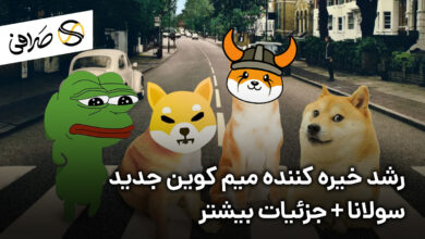 رشد خیره کننده میم کوین جدید سولانا + جزئیات بیشتر