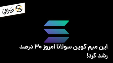 این میم کوین سولانا امروز 30 درصد رشد کرد!