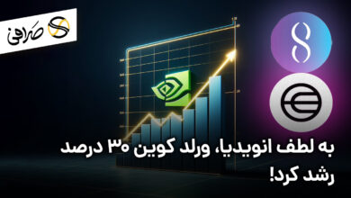 به لطف انویدیا، ورلد کوین 30 درصد رشد کرد!