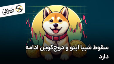سقوط شیبا اینو و دوج‌کوین ادامه دارد