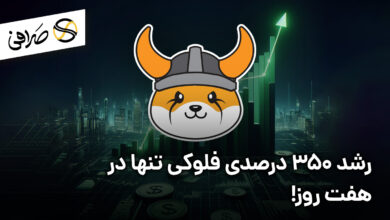 رشد 350 درصدی فلوکی تنها در هفت روز!