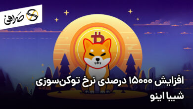 افزایش 15000 درصدی نرخ توکن‌سوزی شیبا اینو