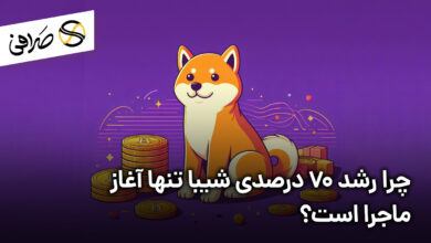 چرا رشد ۷۰ درصدی شیبا تنها آغاز ماجرا است؟