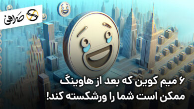 6 میم کوین که بعد از هاوینگ ممکن است شما را ورشکسته کند!
