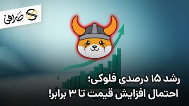 رشد 15 درصدی فلوکی؛ احتمال افزایش قیمت تا 3 برابر!