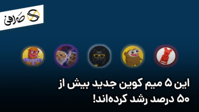این 5 میم کوین جدید بیش از 50 درصد رشد کرده‌اند!