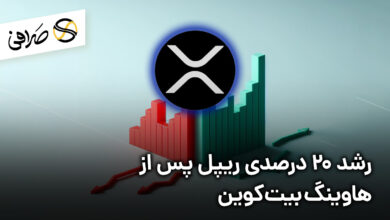 رشد 20 درصدی ریپل پس از هاوینگ بیت‌کوین