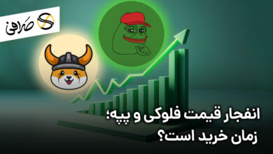 انفجار قیمت فلوکی و پپه؛ زمان خرید است؟