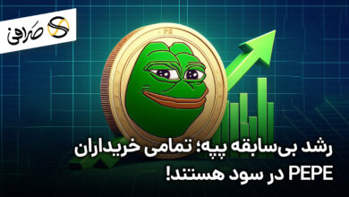 رشد بی‌سابقه پپه؛ تمامی خریداران PEPE در سود هستند!