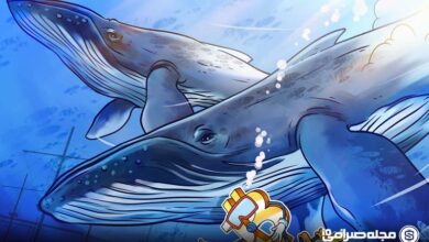 نهنگ ها بازار بیت کوین را تکان دادند: خرید عظیم در برابر فروش سازمانی