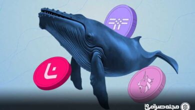 نهنگ های کریپتو آلت کوین ها را هدف گرفتند؛ موج صعودی در راه است