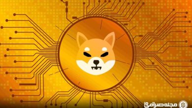 هشدار کاهش شدید قیمت شیبا اینو: آیا زمان سقوط فرا رسیده است؟