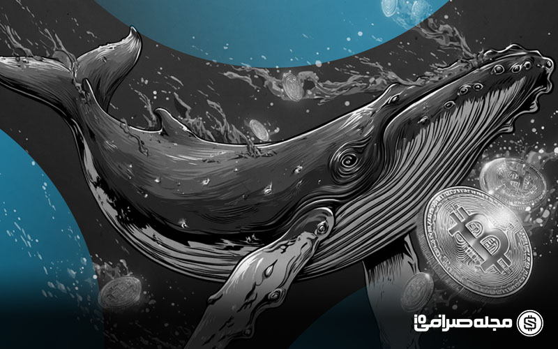 انتقال عظیم بیت کوین پس از ۱۴ سال